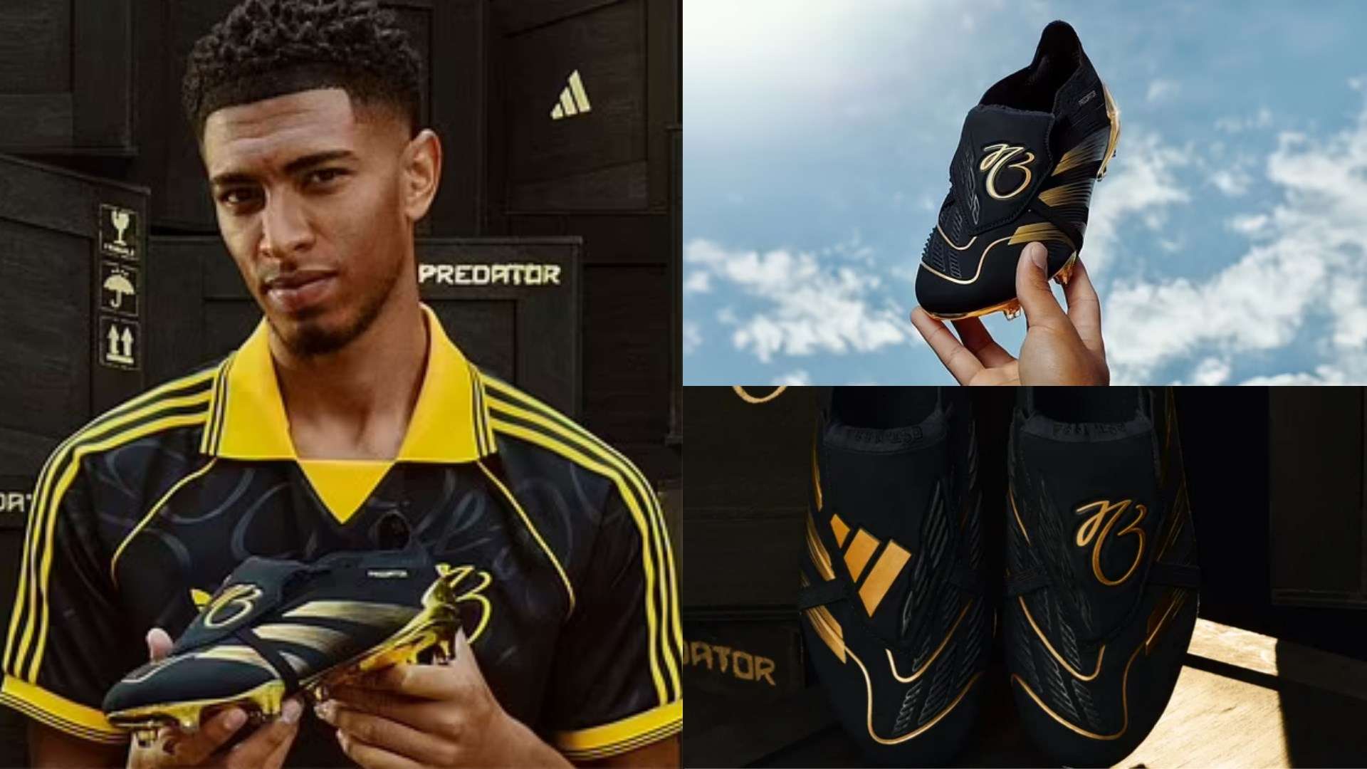 年卡塔尔世 年卡塔尔世