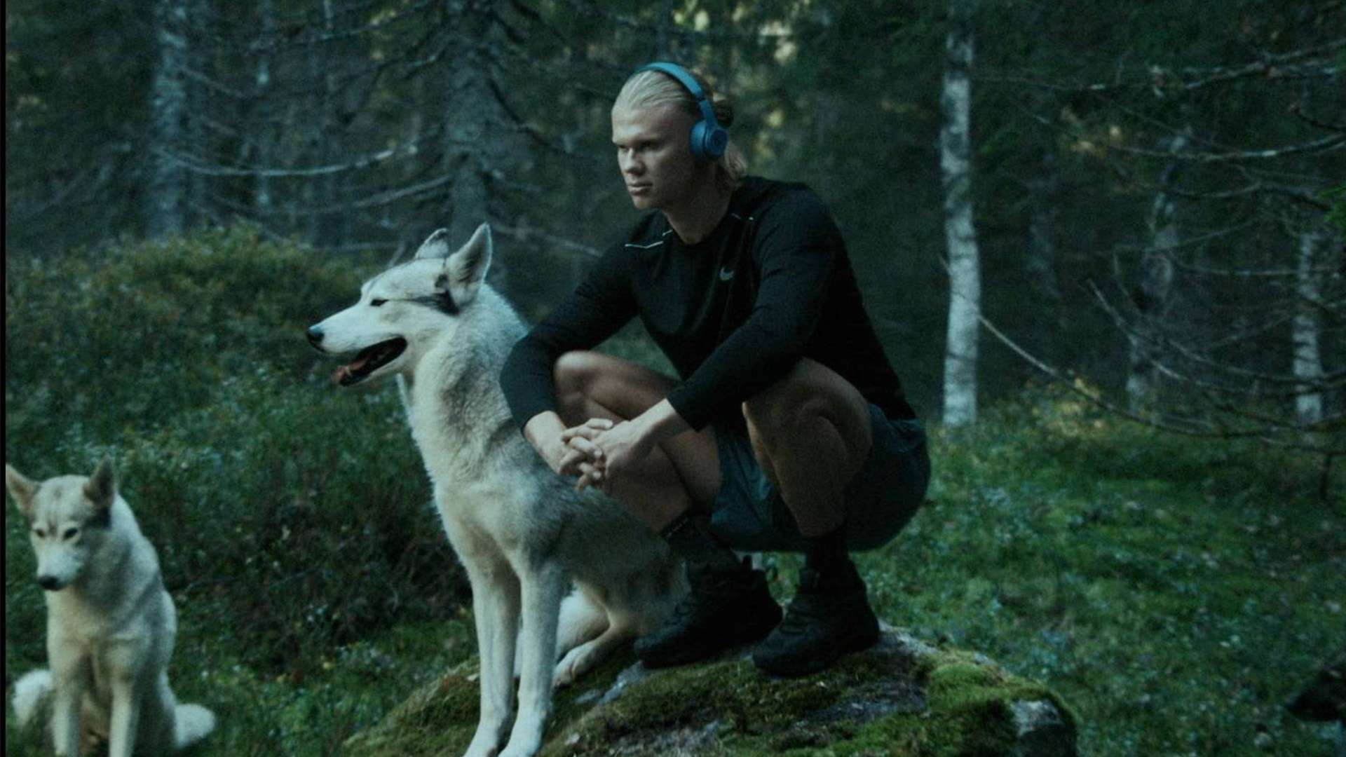 现在的进步 现在的进步